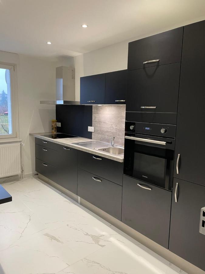 Appartement Les Tilleuls "3 Etoiles" Niederbronn-les-Bains Eksteriør bilde
